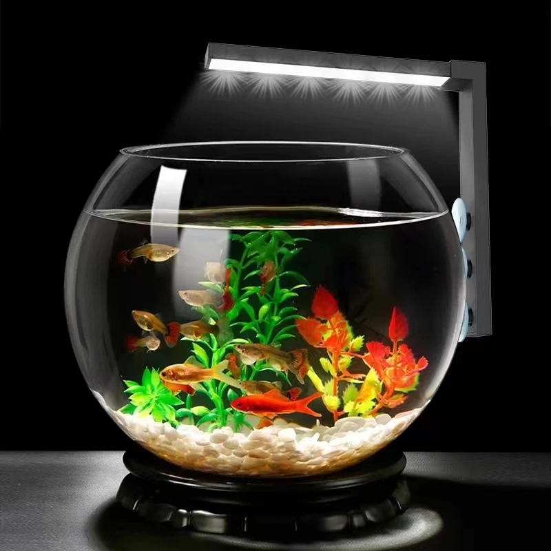 Planted Aquarium Algae - Small fish tank LED lamp fans