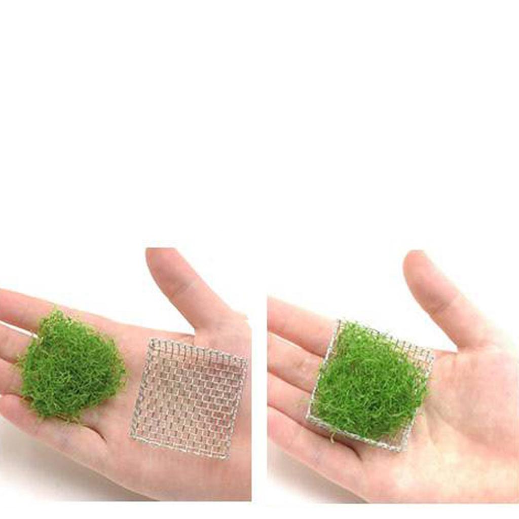Planted Aquarium Carpet Plant - Aquarium Stainless Mesh Aquatic Plant Holder