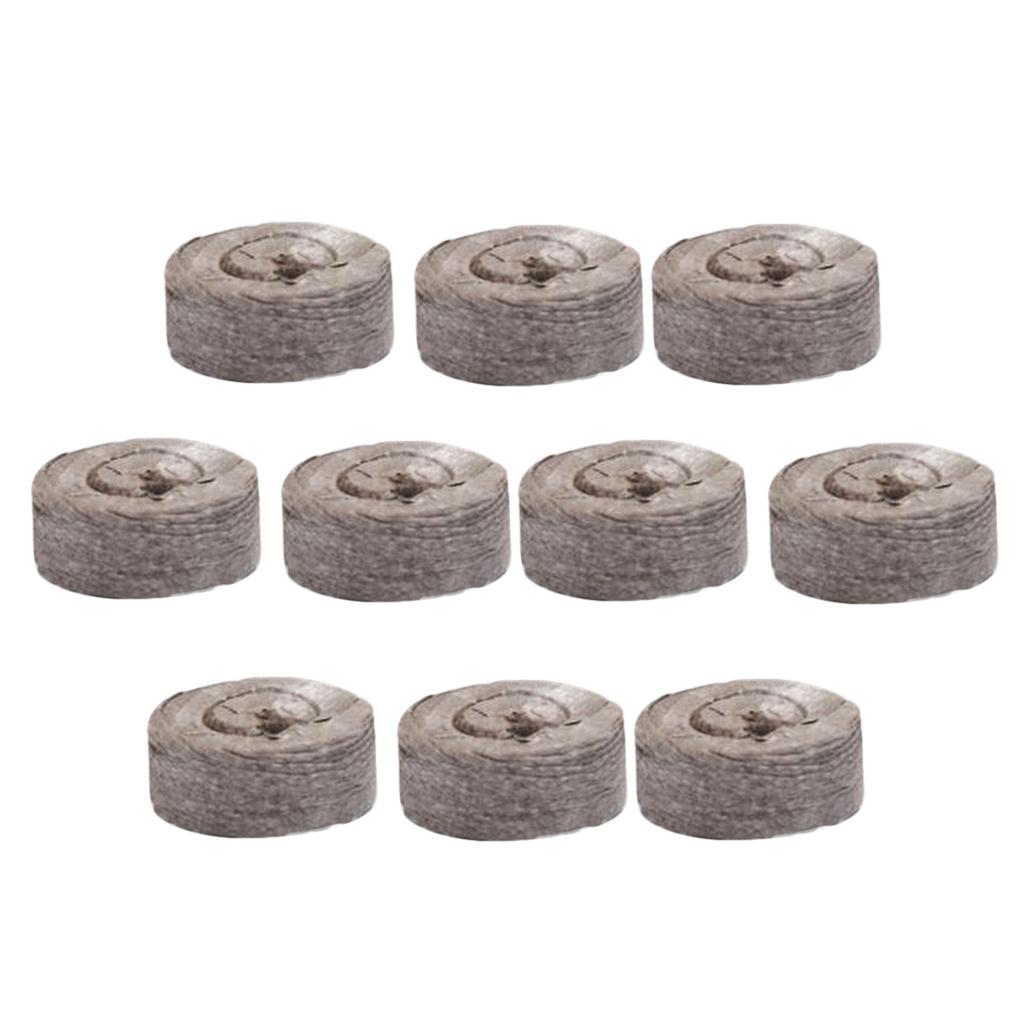 Tissue Culture Plant - Peat Pellets Seed Starting Plugs Nursery