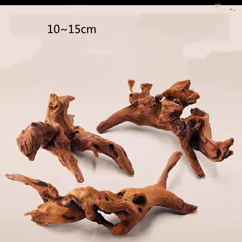 Natural Tree Trunk Aquarium De - Aquarium Plant Root Tabs ulasan dan harga