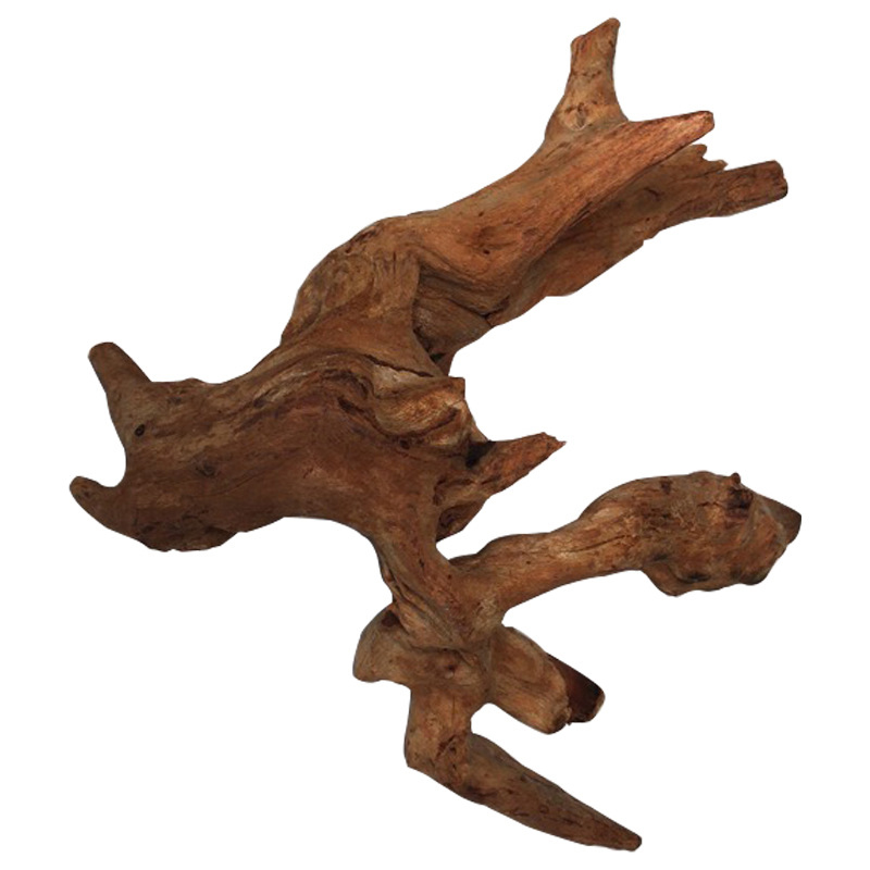 Natural Tree Trunk Aquarium De - Aquarium Plant Root Tabs ulasan dan harga