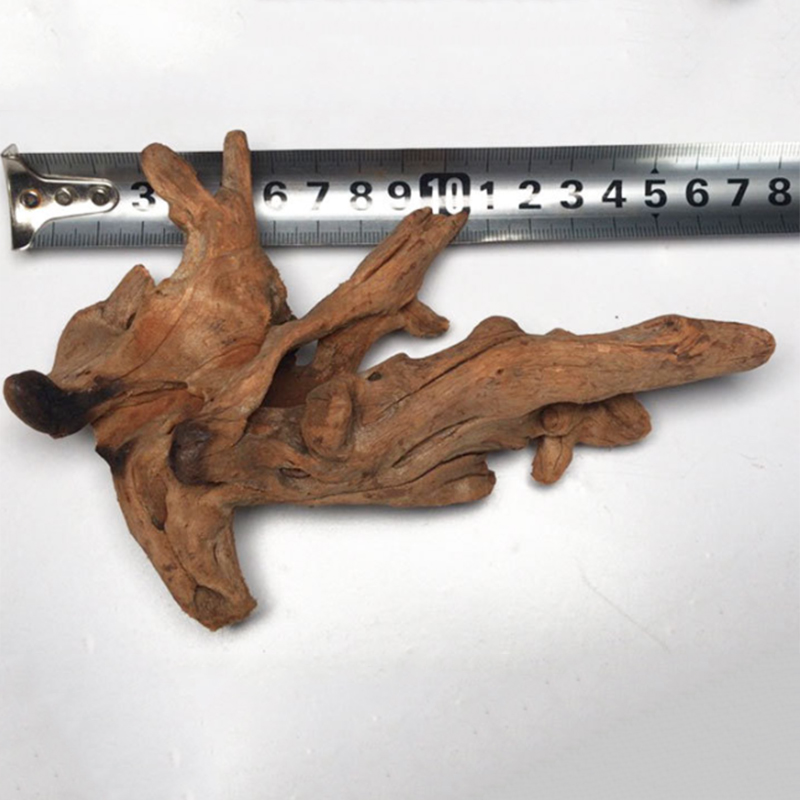 Natural Tree Trunk Aquarium De - Aquarium Plant Root Tabs ulasan dan harga