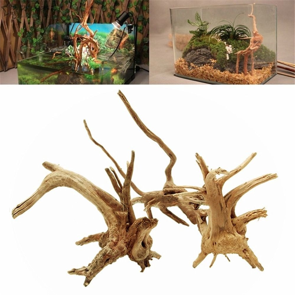 New Natural Wooden Fish Tank D - Aquarium Plant Root Tabs ulasan dan harga
