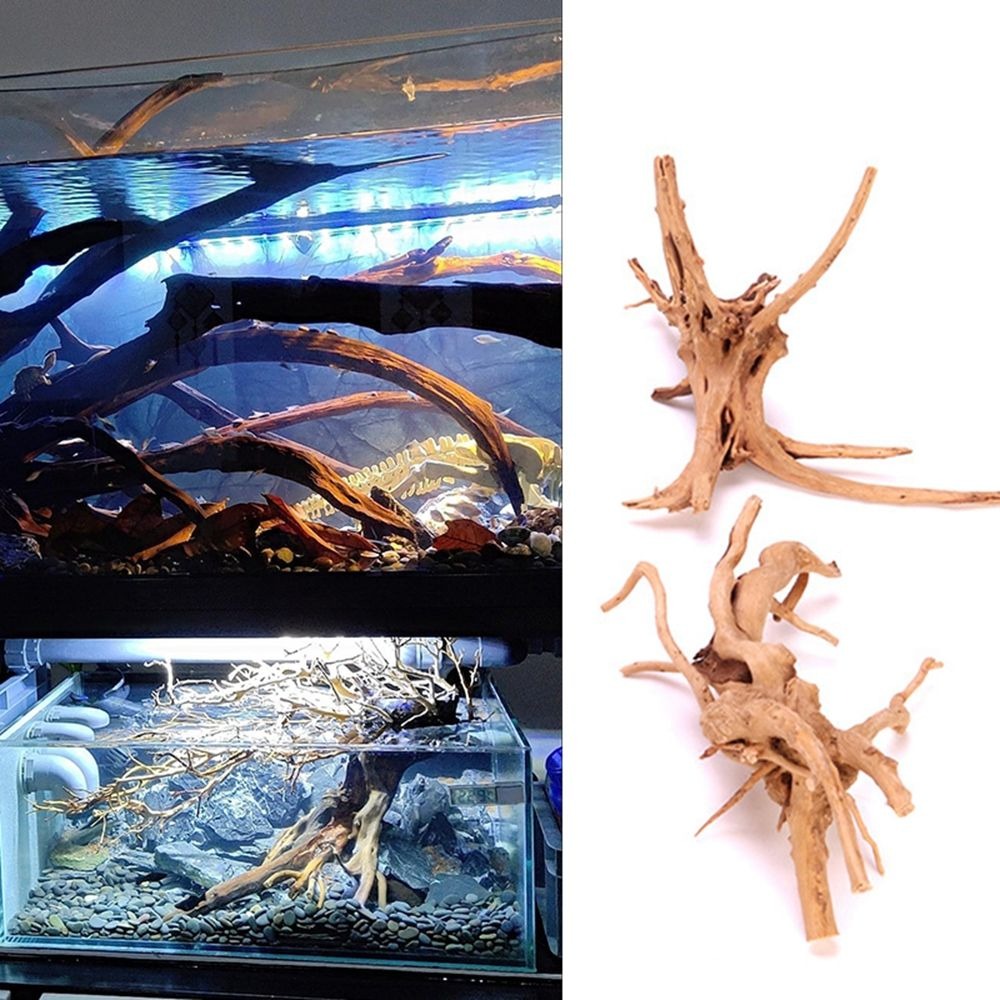 New Natural Wooden Fish Tank D - Aquarium Plant Root Tabs ulasan dan harga