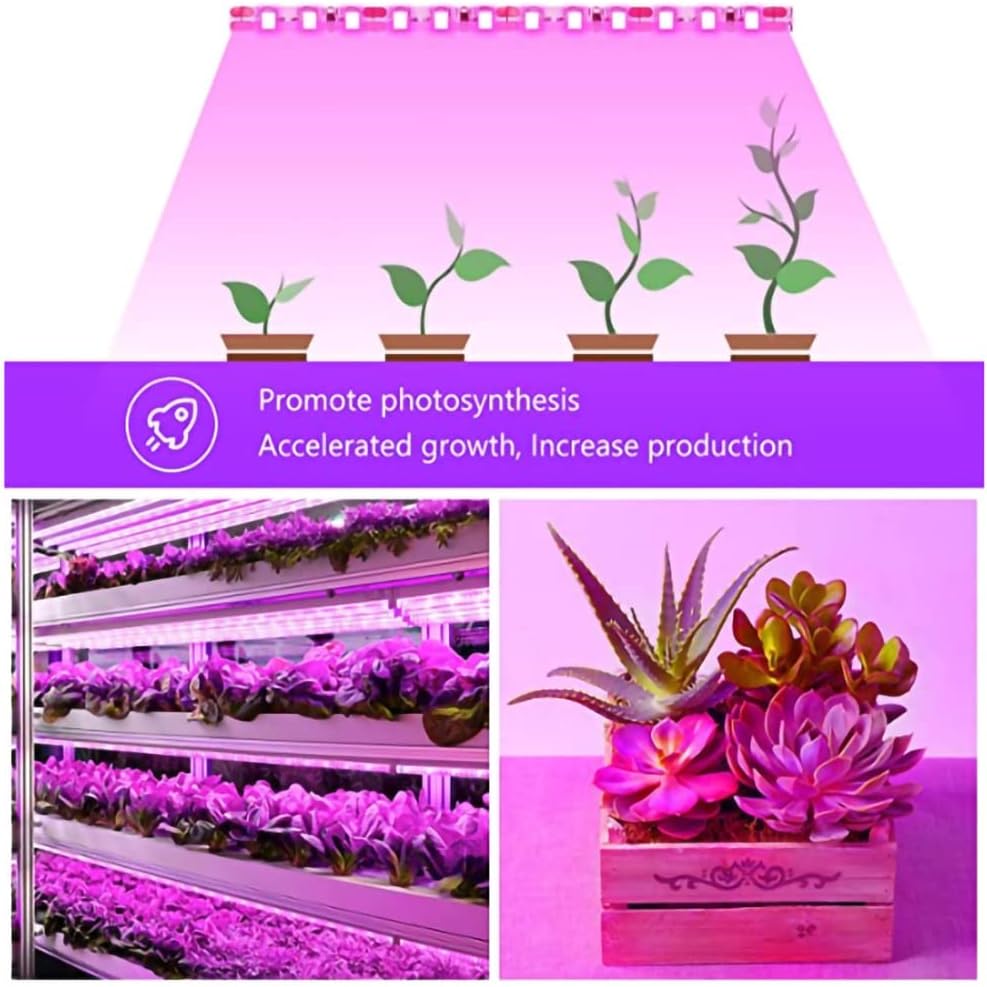 5V Plant Light Grow LED Strip  - Aquarium Plant Root Tabs ulasan dan harga