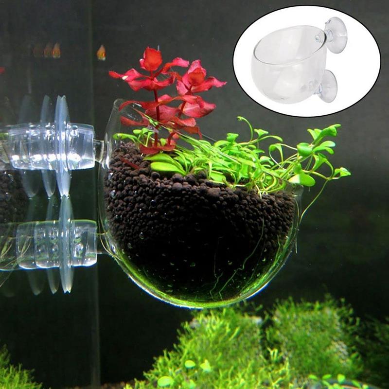 Acrylic Aquatic Plant Cup Aqua - Aquarium Planted Seeds ulasan dan harga