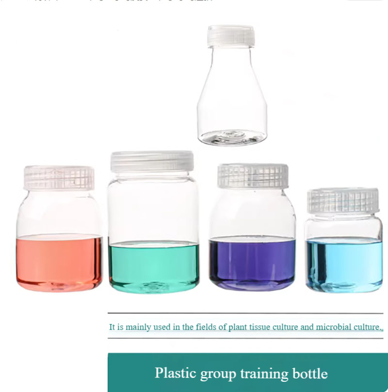 10pcs Plastic tissue culture b - Tissue Culture Plant ulasan dan harga