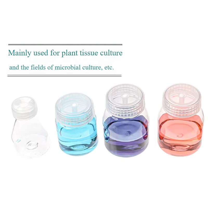 10pcs Plastic tissue culture b - Tissue Culture Plant ulasan dan harga