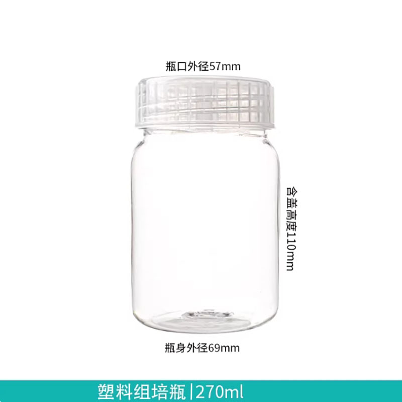 10pcs Plastic tissue culture b - Tissue Culture Plant ulasan dan harga