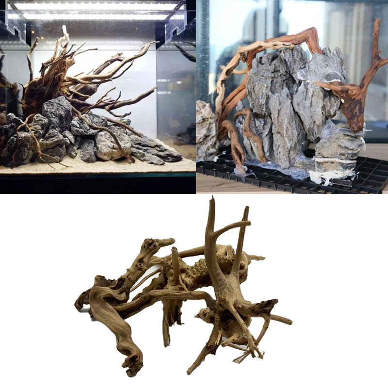Natural Tree Trunk Driftwood A - Aquarium Plant Root Tabs ulasan dan harga