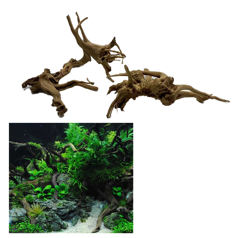 Natural Tree Trunk Driftwood A - Aquarium Plant Root Tabs ulasan dan harga