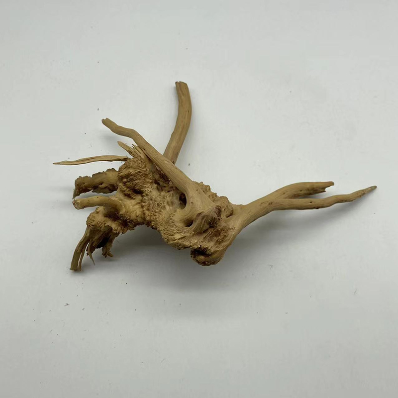Natural Tree Trunk Driftwood A - Aquarium Plant Root Tabs ulasan dan harga