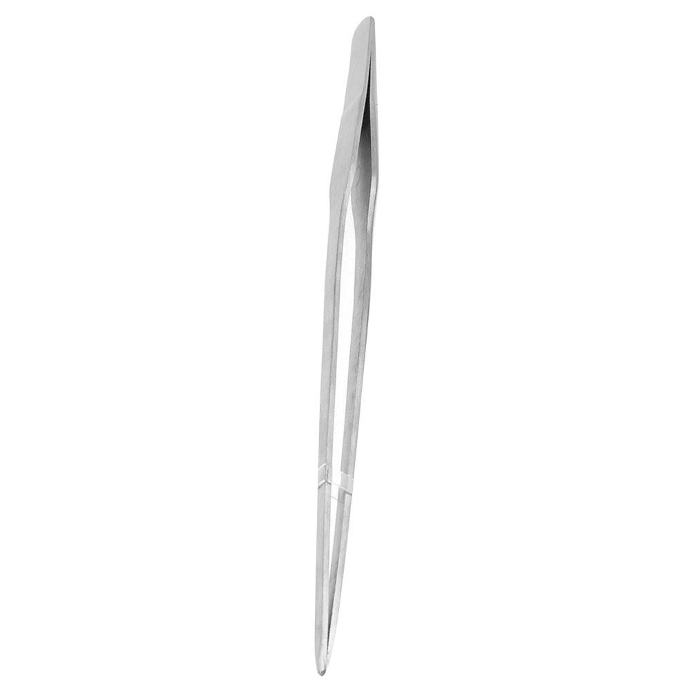 38 Cm Polished Stainless Steel - Planted Aquarium Carpet Plant ulasan dan harga
