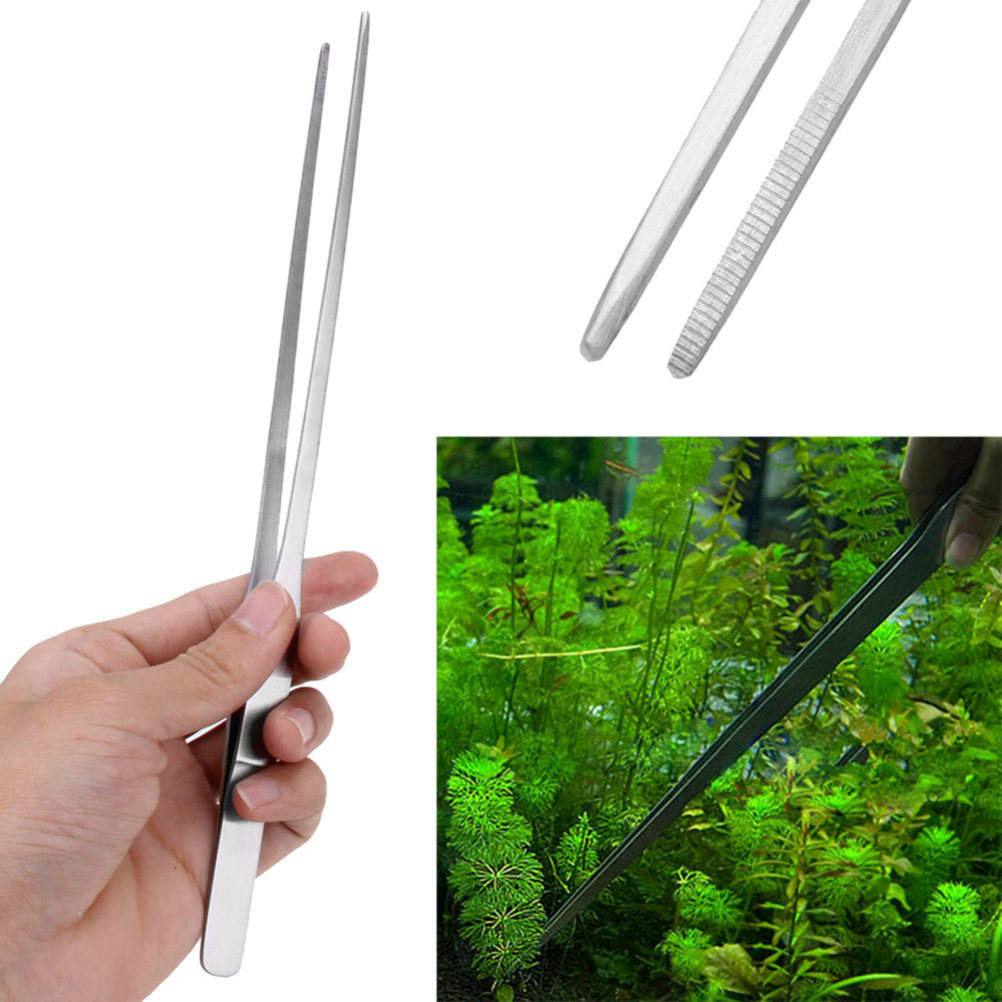 38 Cm Polished Stainless Steel - Planted Aquarium Carpet Plant ulasan dan harga