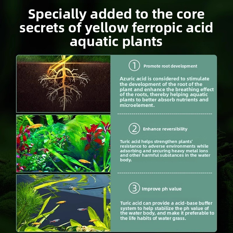 Aquarium Plant Fertilizer - Co - Planted Aquarium Carpet Plant ulasan dan harga