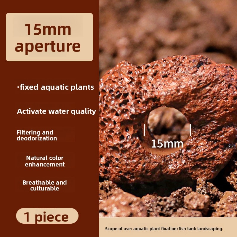 Red Lava Rock Planting Ring –  - Planted Aquarium Carpet Plant ulasan dan harga