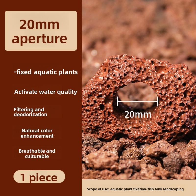 Red Lava Rock Planting Ring –  - Planted Aquarium Carpet Plant ulasan dan harga