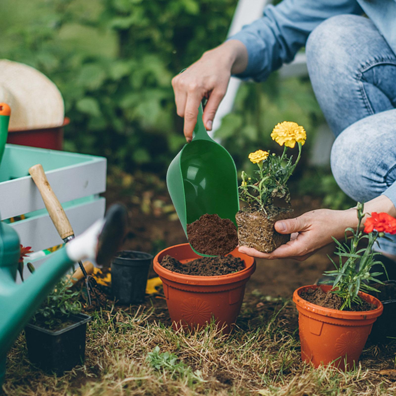 Gardening Shovel Soil Scoops L - Tissue Culture Plant ulasan dan harga