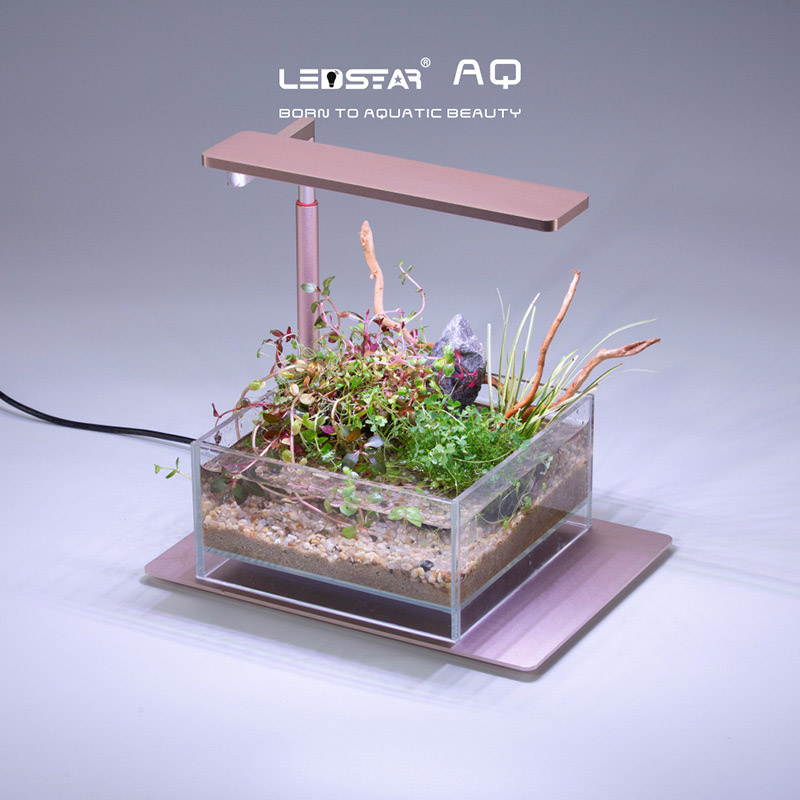 LEDSTAR AQ-N III Full Spectrum - Aquarium Plant Growth Light ulasan dan harga