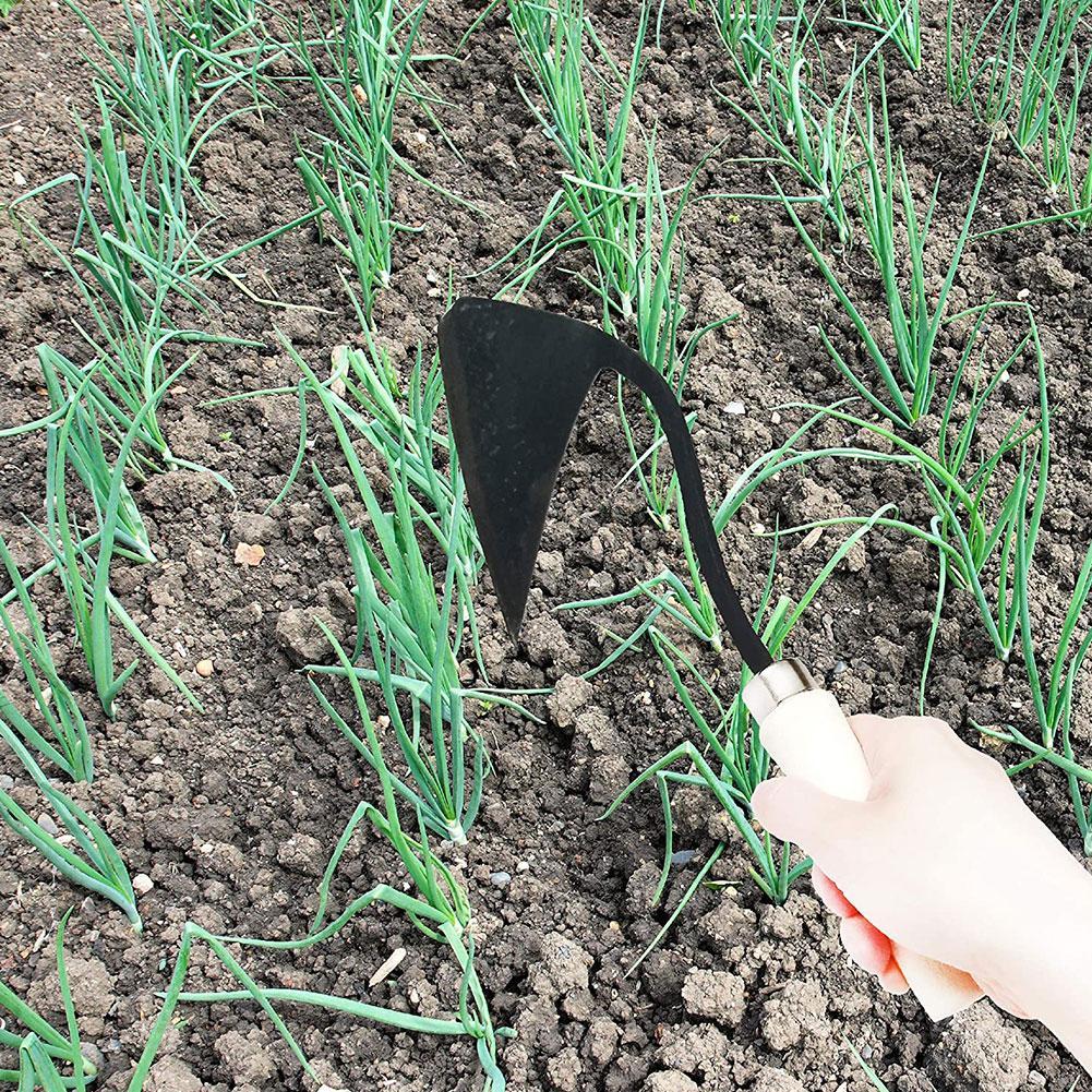 Farm Tools Hoes Triangle Furro - Tissue Culture Plant ulasan dan harga