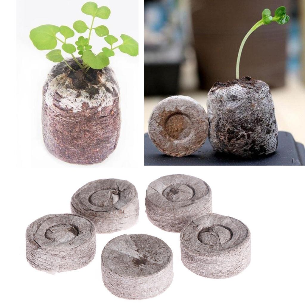 Peat Pellets Seed Starting Plu - Tissue Culture Plant ulasan dan harga