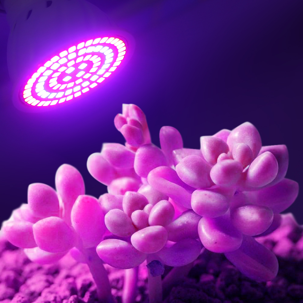 Led Grow Bulb 220V E27 60 80LE - Aquarium Plant Root Tabs ulasan dan harga