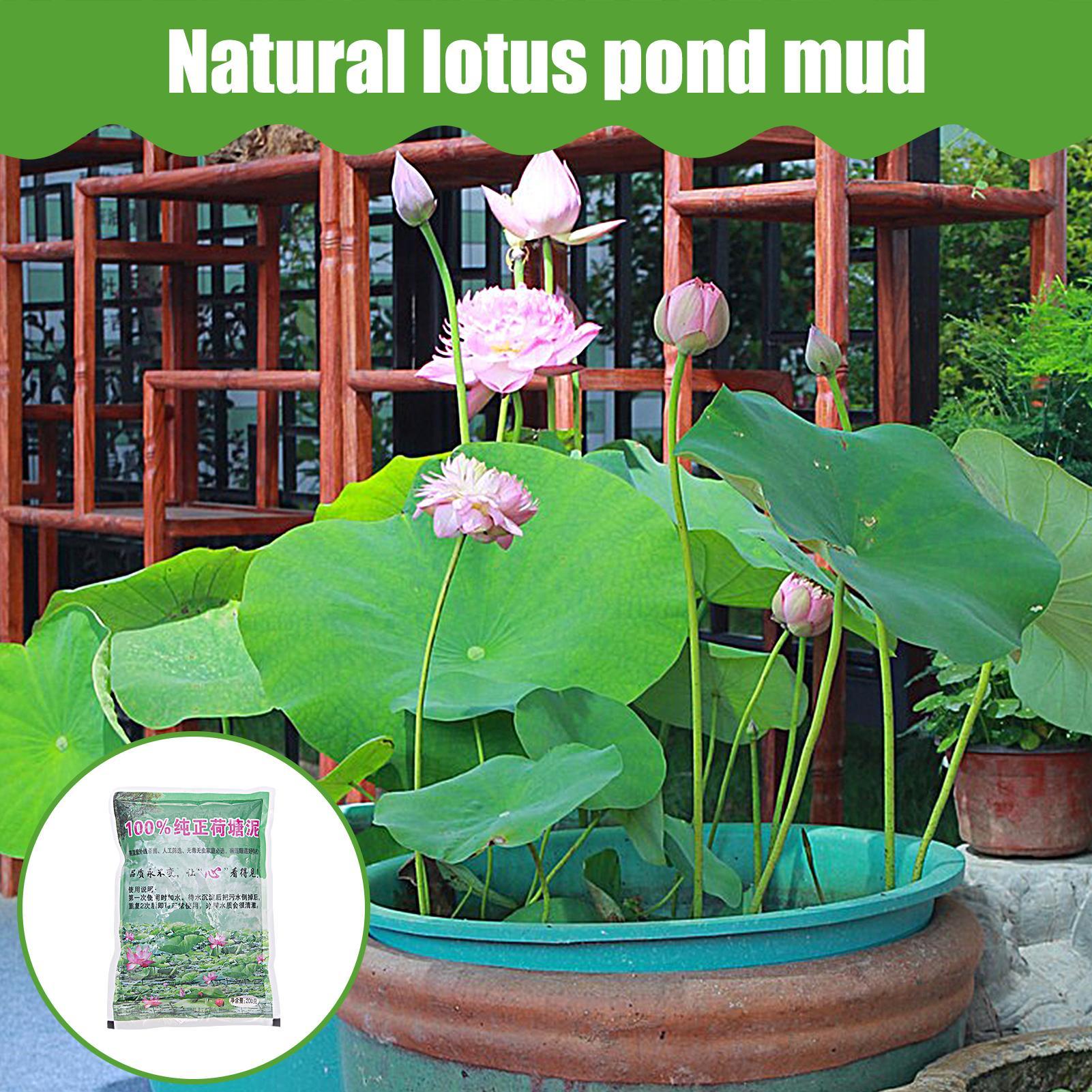 200g/bag Aquarium Soil Natural - Aquarium Planted Seeds ulasan dan harga