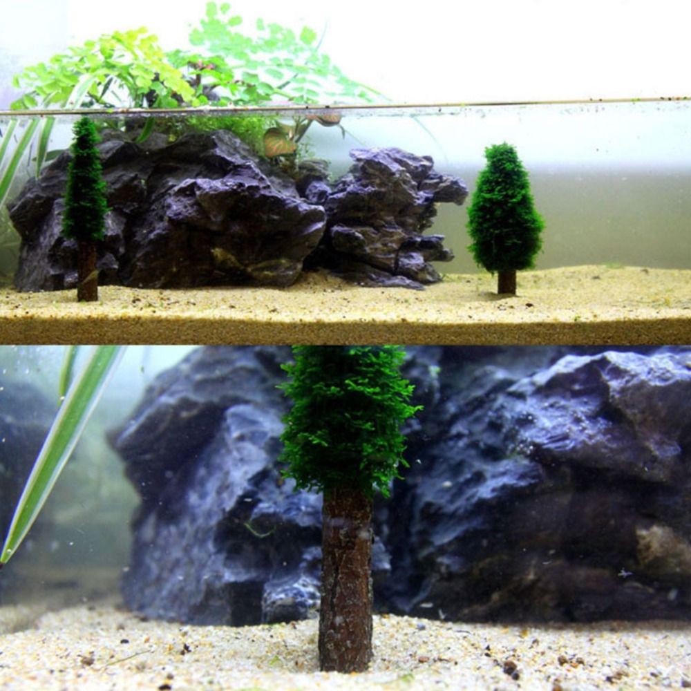 Simulation Christmas Tree Aqua - Aquarium Planted Tree ulasan dan harga