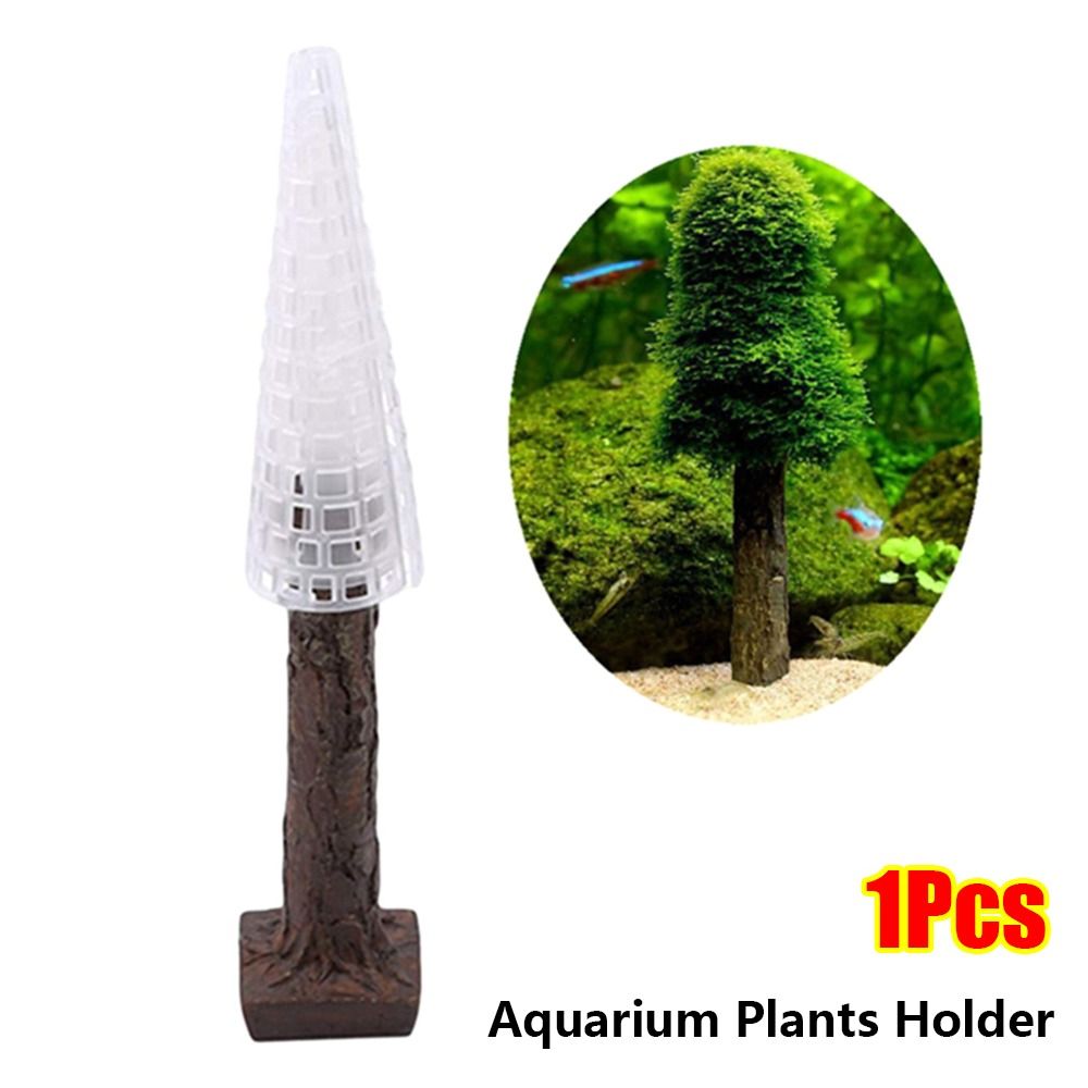 Simulation Christmas Tree Aqua - Aquarium Planted Tree ulasan dan harga