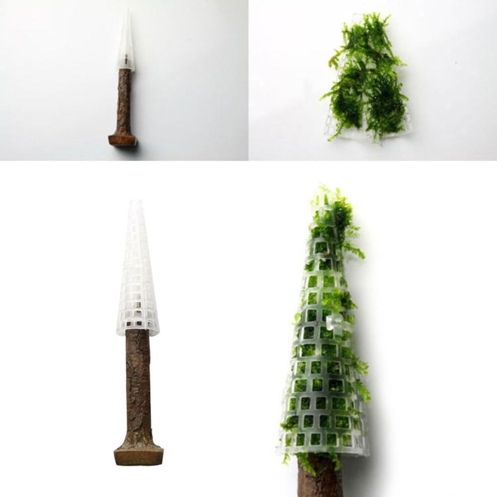 Simulation Christmas Tree Aqua - Aquarium Planted Tree ulasan dan harga