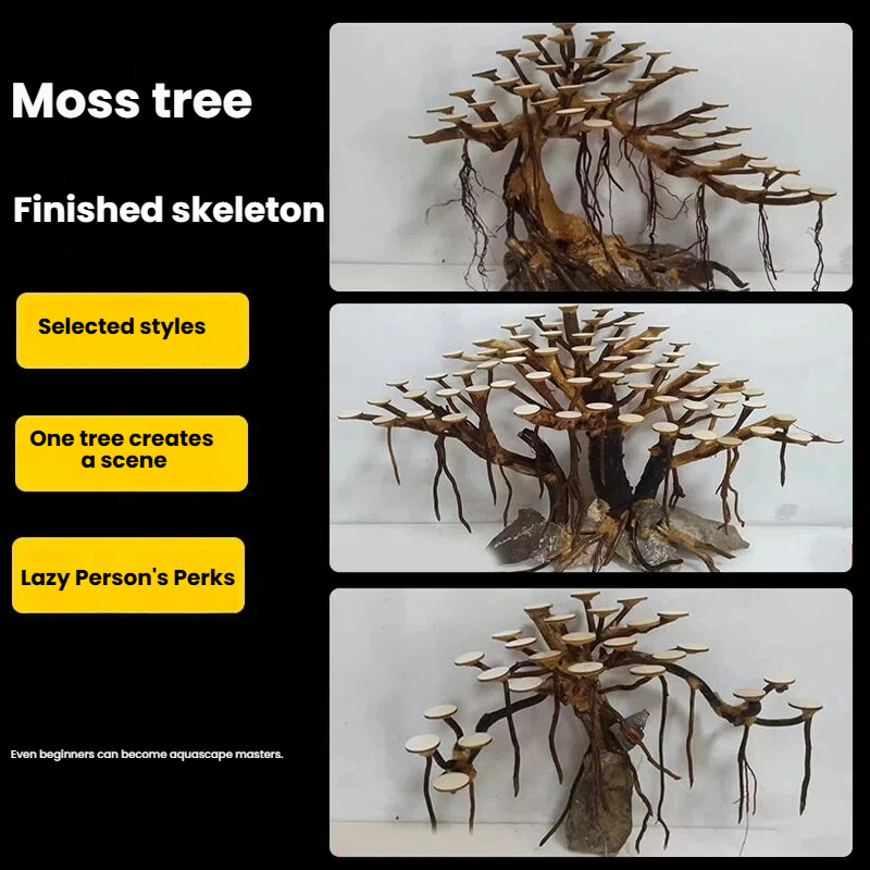 Aquarium Landscaping Moss Tree - Aquarium Planted Tree ulasan dan harga