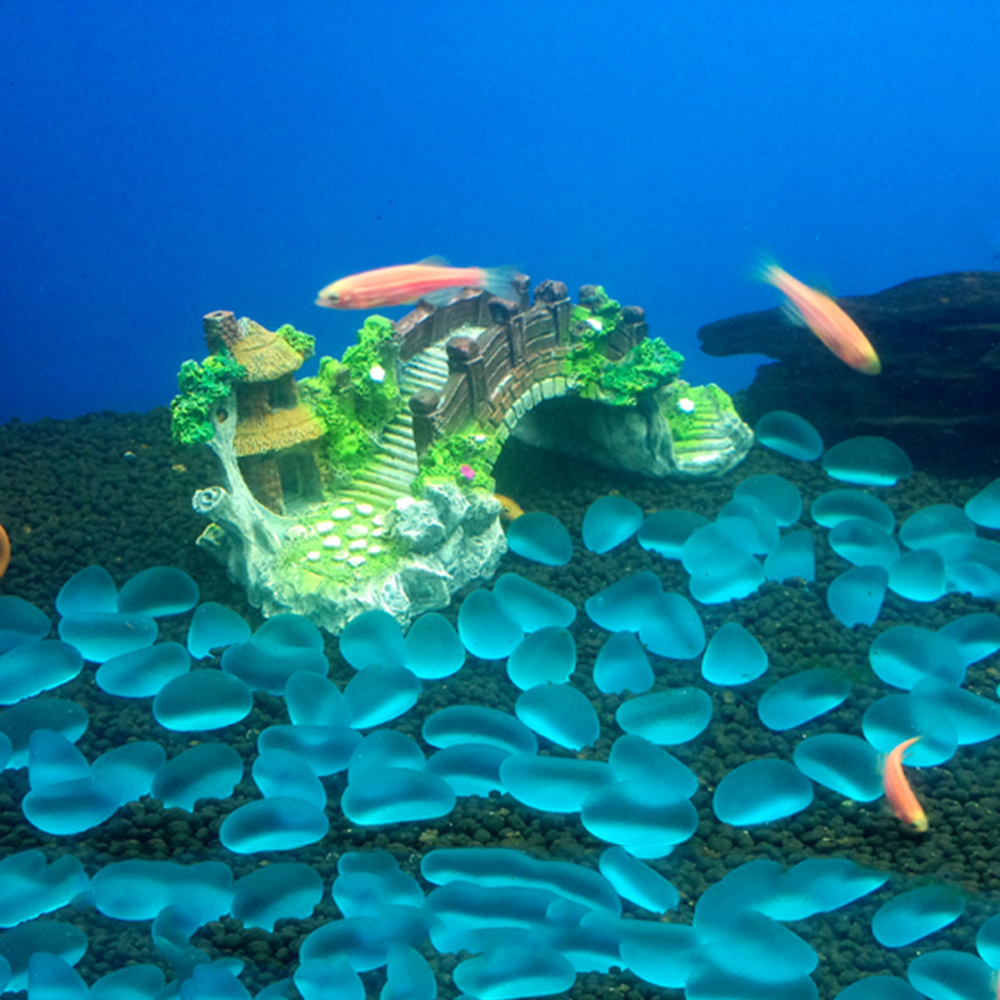 Aquarium Accessories Arbor Tre - Aquarium Planted Tree ulasan dan harga