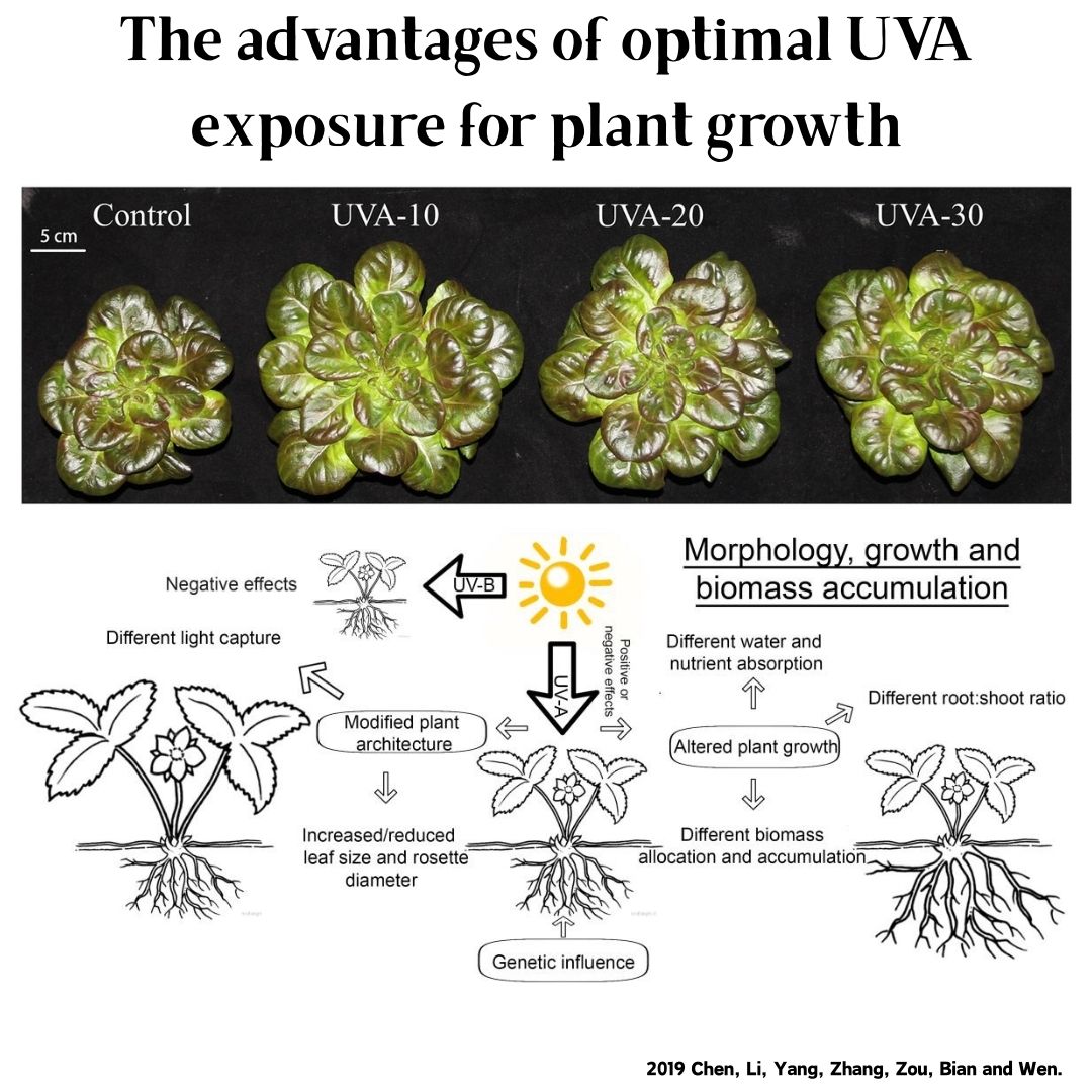 Week Aqua M Series RGB+UV Wate - Aquarium Plant Growth Light ulasan dan harga