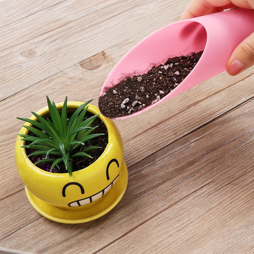 Mini Potted Cultivation Bucket - Tissue Culture Plant ulasan dan harga