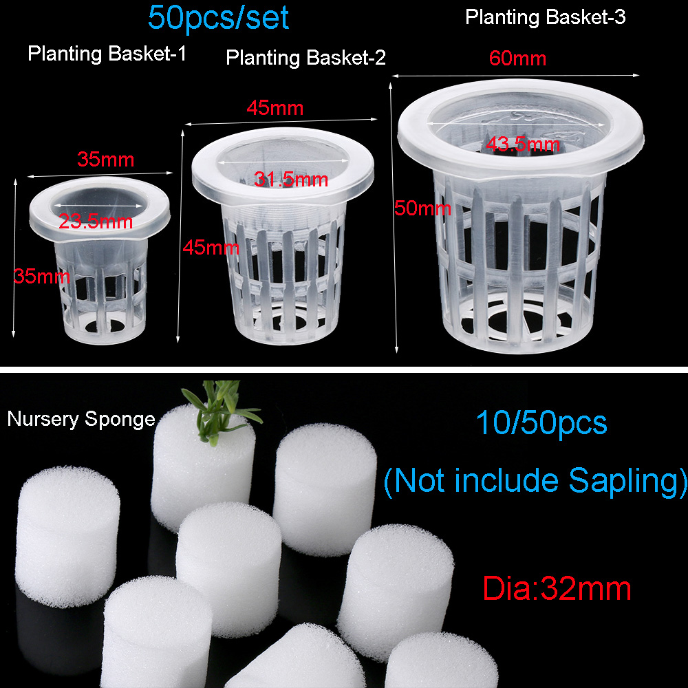 10/50pcs Durable Planting Aqua - Aquarium Planted Seeds ulasan dan harga