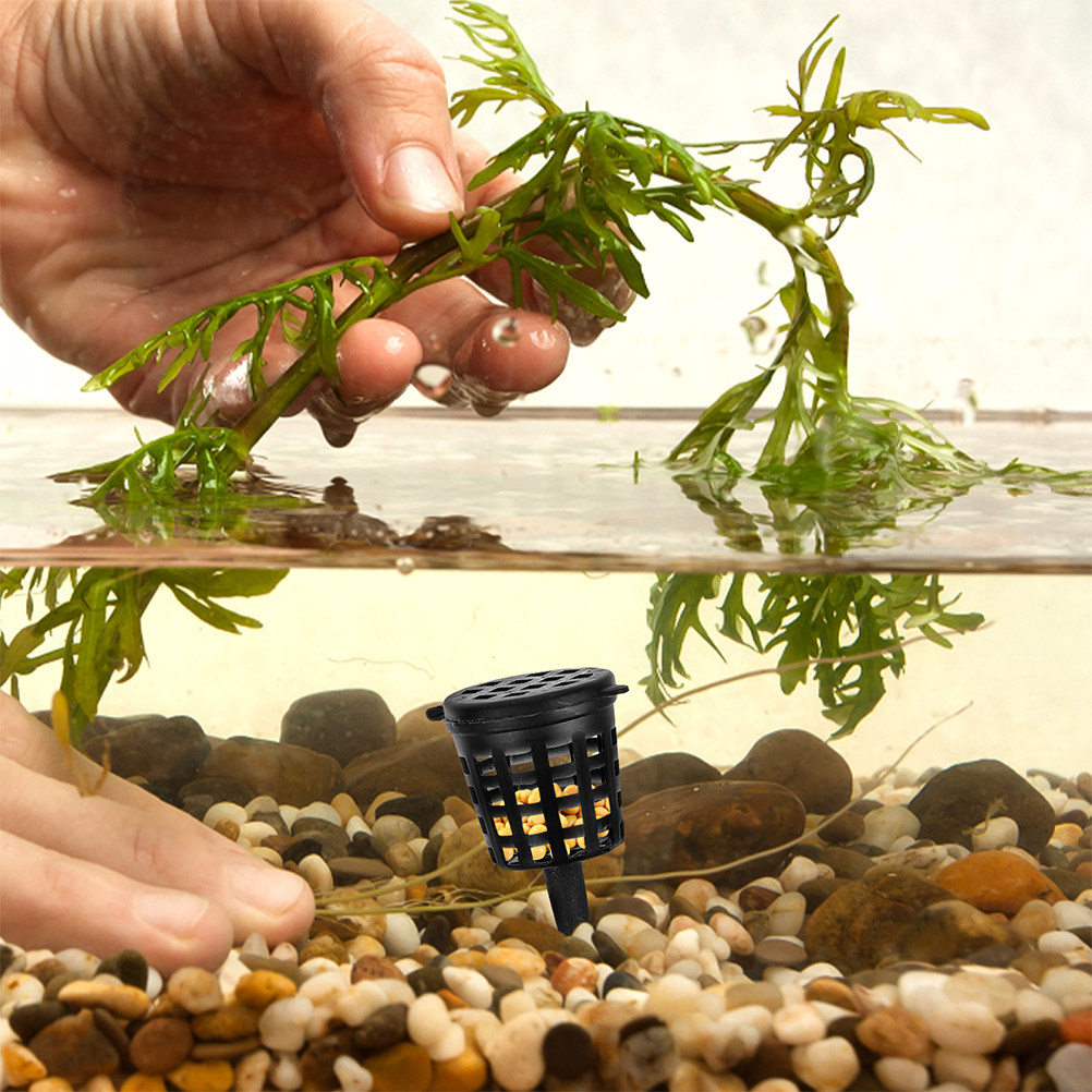 120Pcs Fertilizer Basket Porta - Planted Aquarium Fertilizer ulasan dan harga